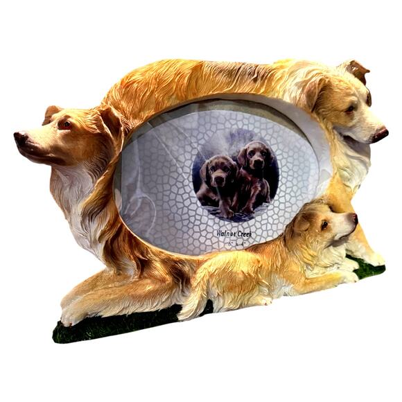 3D Collie Picture Frame Family Dog Brown White Hand Painted Holds 4x6 Photo NEW - Picture 4 of 11